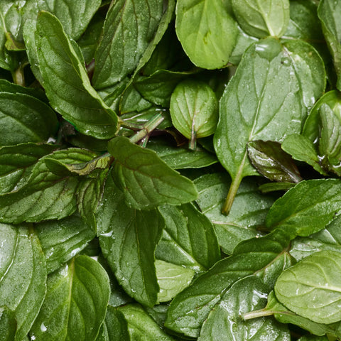 Pure-Castile Magic Bar Soap